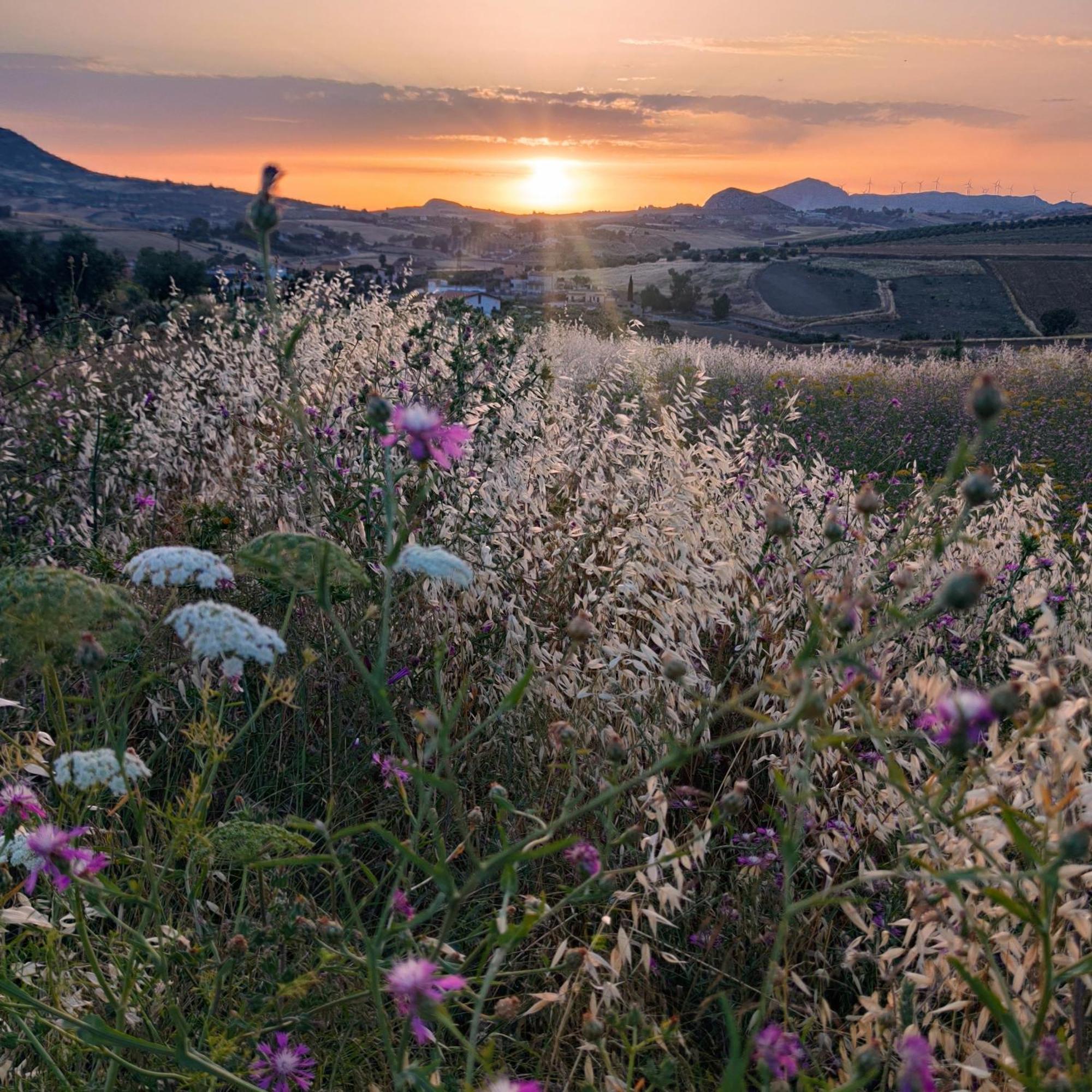 B&B Della Via Francigena Agrigento Exteriér fotografie