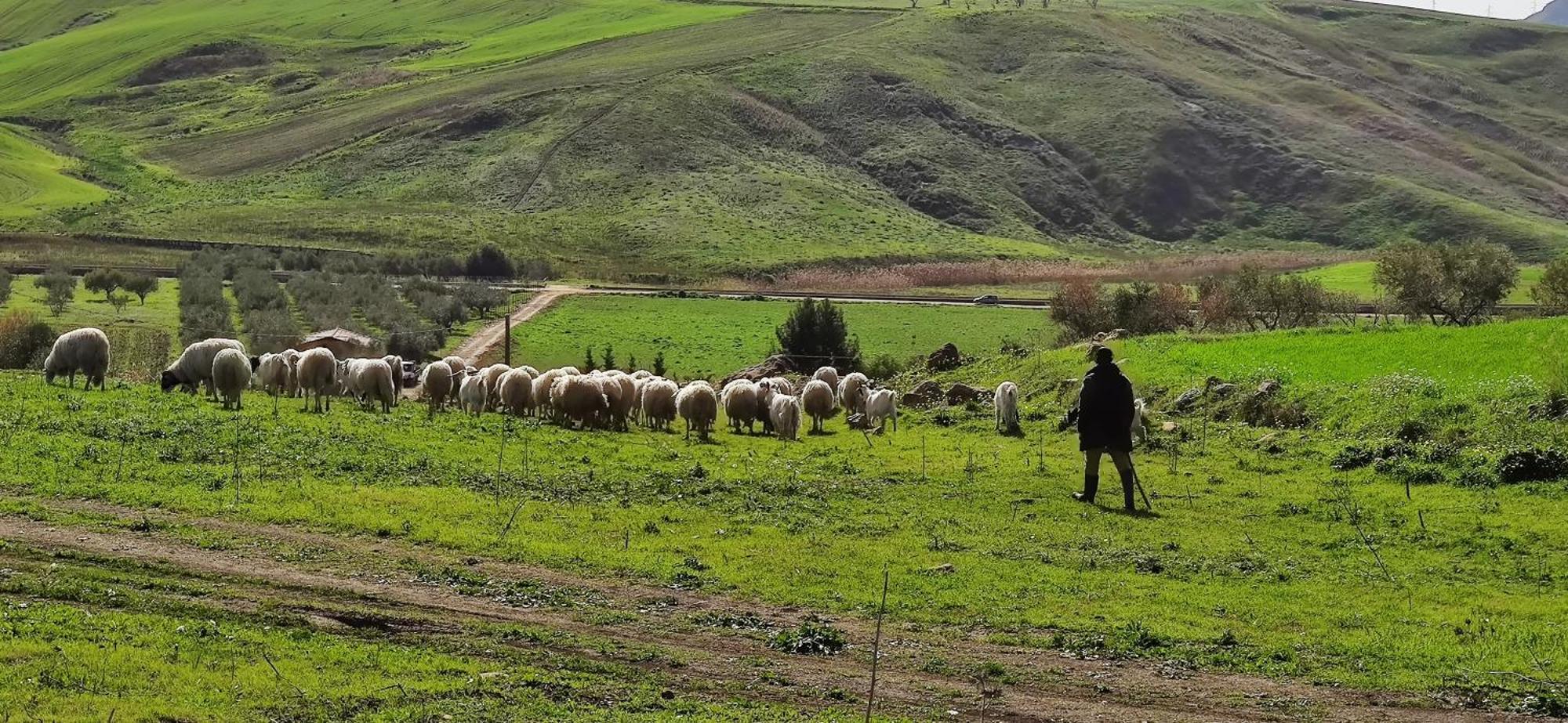 B&B Della Via Francigena Agrigento Exteriér fotografie