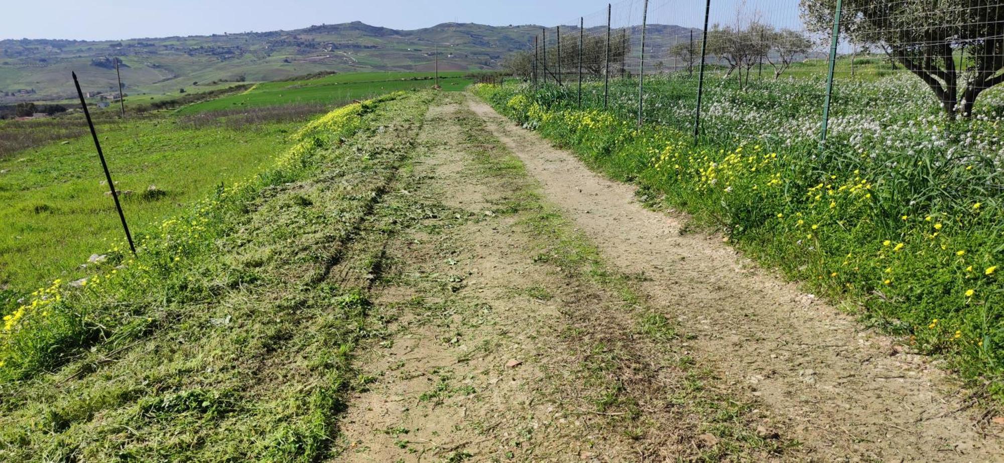 B&B Della Via Francigena Agrigento Exteriér fotografie